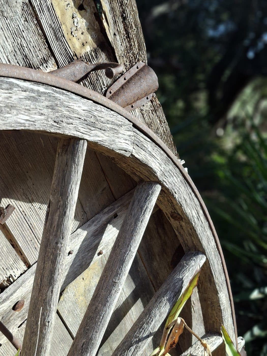 Rueda de madera antigua de un carro mallorquín